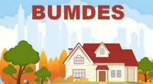 bumdes