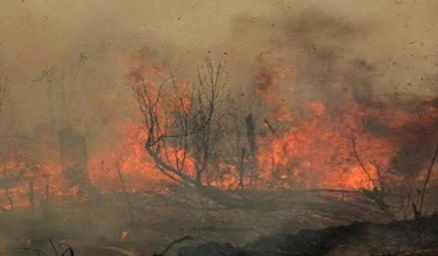 Penanggulangan Kebakaran Hutan