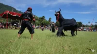 Kesenian Bantengan Mojokerto Kesenian Bantengan Mojokerto