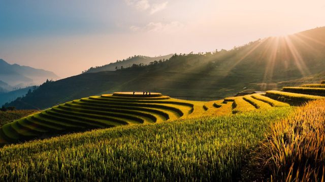 SUBAK