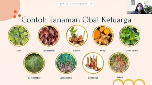 KKN PPM UGM Patuk