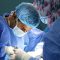Jual Beli Organ Tubuh