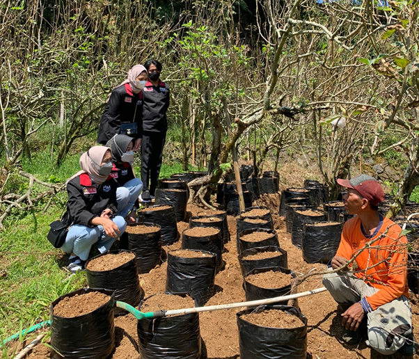 Dampak Pandemi Petani Apel