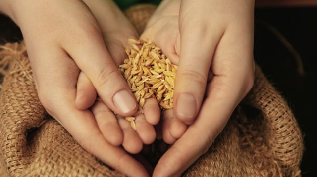 zakat dan perekonomian islam