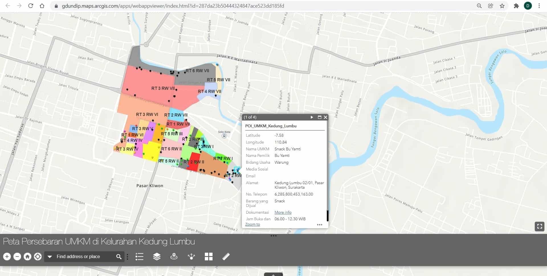 webgis