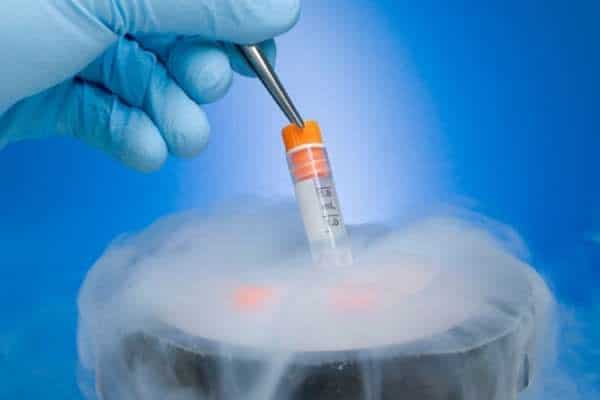 egg freezing