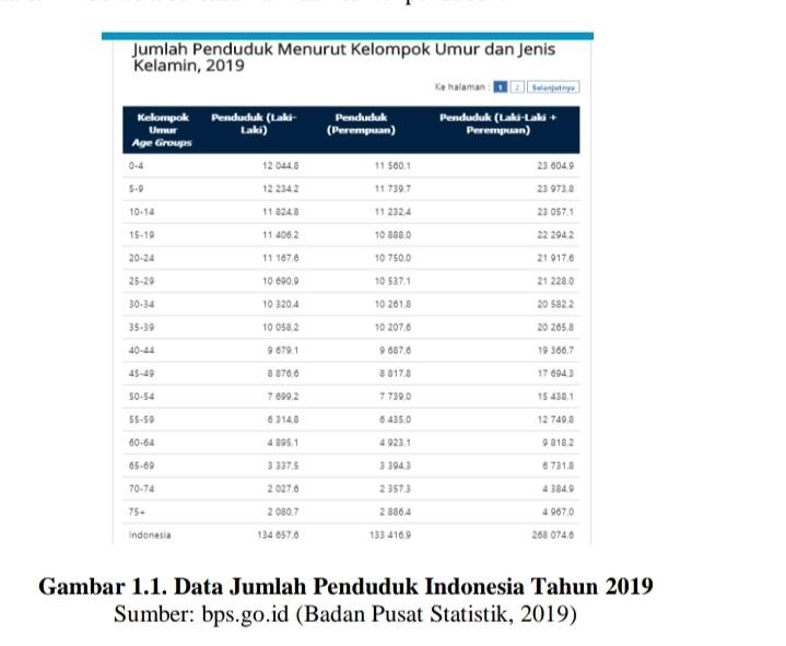 Jumlah penduduk Indonesia menurut BPS