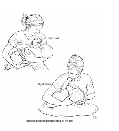 Feeding positions