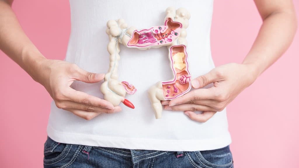 Illustration Inflammatory Bowel Disease