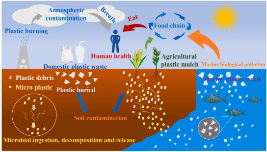 bioplastik biodegradable