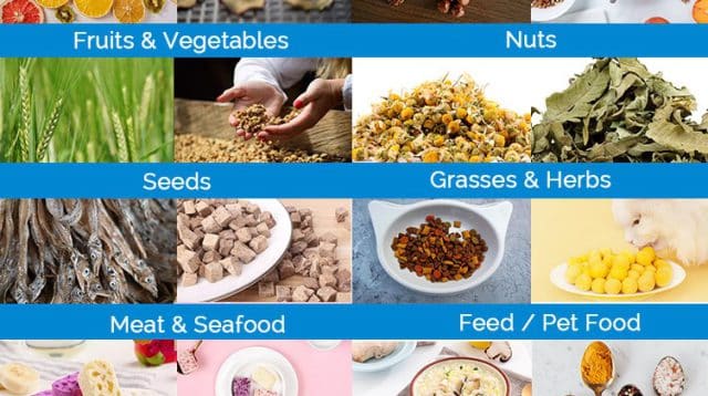Freeze Drying