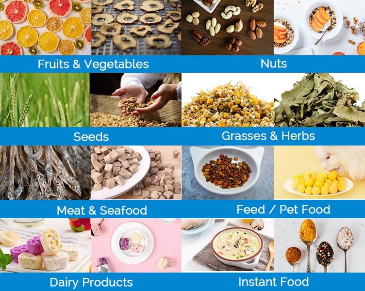 Freeze Drying