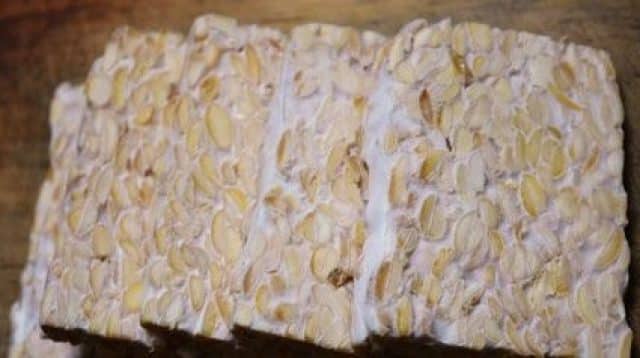 produsen tempe terbesar dunia