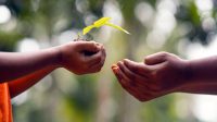 Pendidikan Anak Peduli Lingkungan