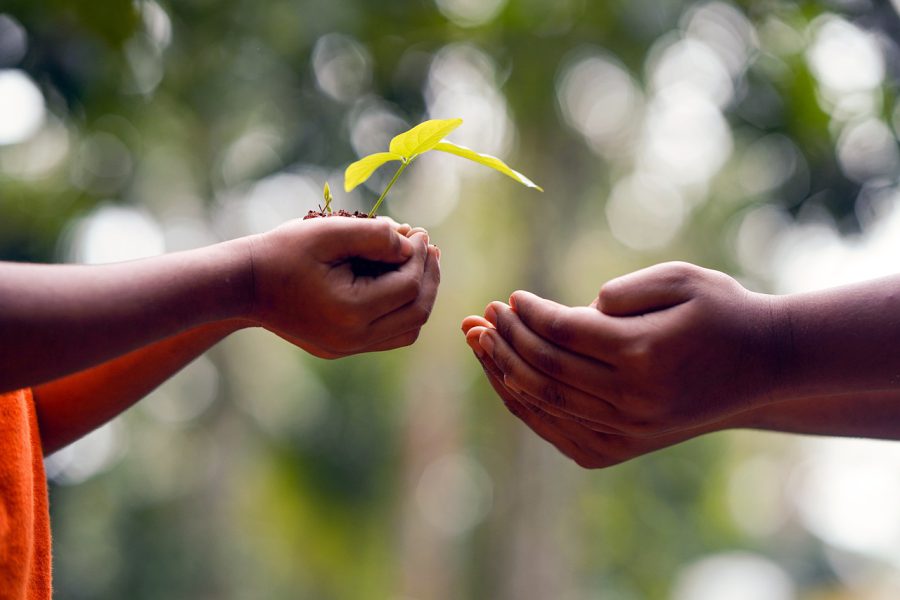Pendidikan Anak Peduli Lingkungan