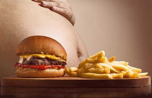 Fast Food dan Obesitas