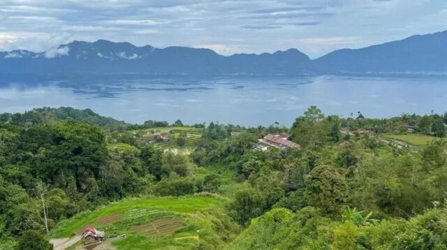 Hutan