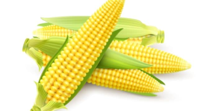 Jagung