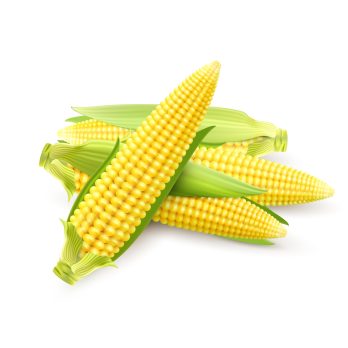 Jagung