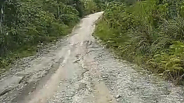 Infra