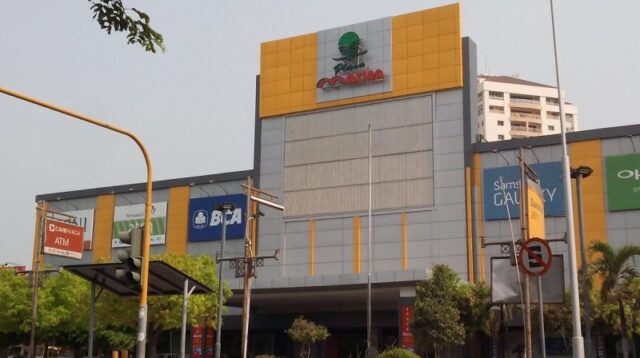 Magang