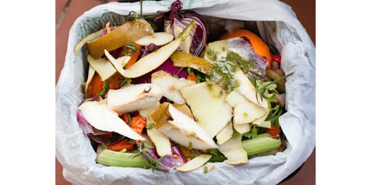 biogas