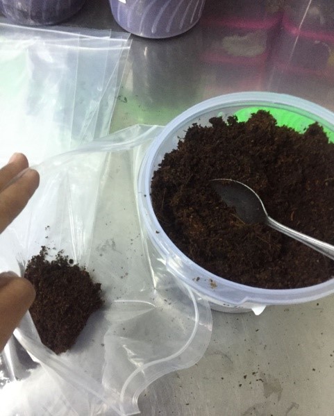 Pupuk Organik