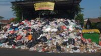 TPS Pengok