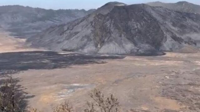 Bromo