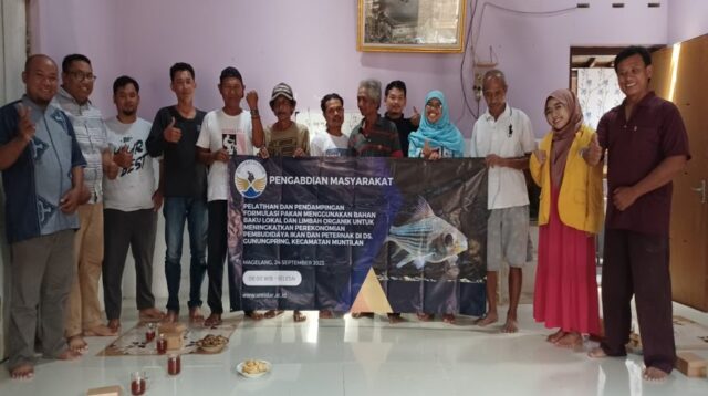 Magang