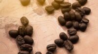 Kopi Robusta