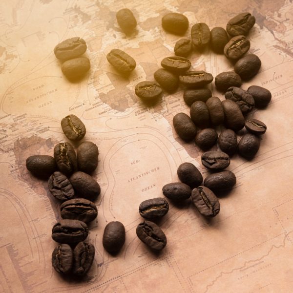 Kopi Robusta