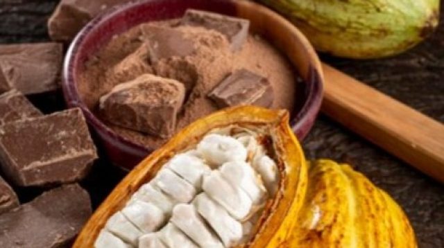 Kakao Cegah Diabetes