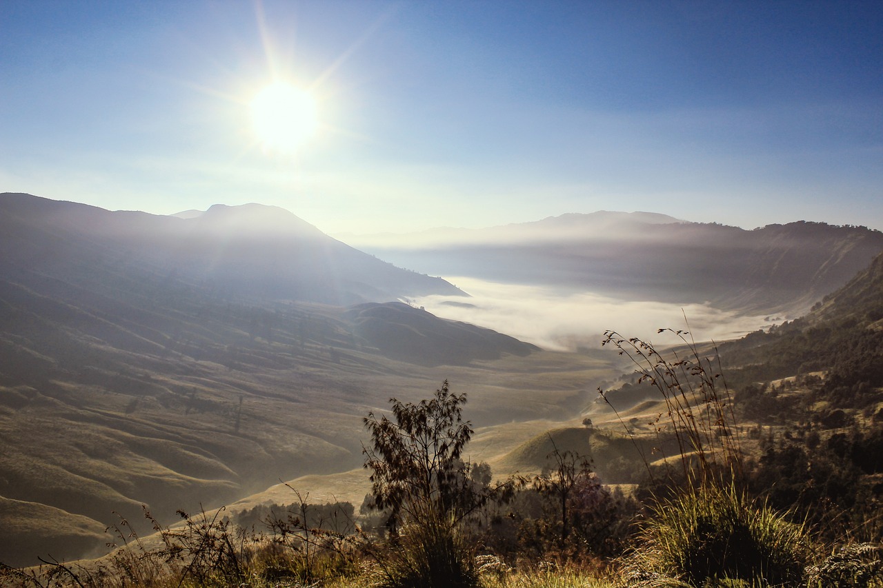 Kebakaran Bromo