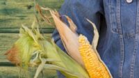 Bisnis dari Kulit Jagung
