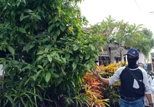 Obat Alternatif di Daerah Bandulan Kota Malang