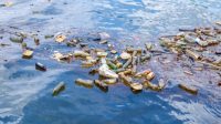 Kualitas Air Sungai Akibat Sampah
