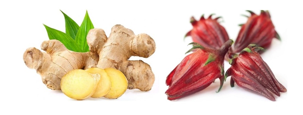 Efektivitas Pemberian Ramuan Jahe (Zingibers Officinale) dan Rosella (Hibiscus Sabdariffa) terhadap Perubahan Intensitas Nyeri Haid Jahe (Zingibers Officinale) dan Rosella (Hibiscus Sabdariffa)