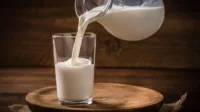 Susu Fermentasi