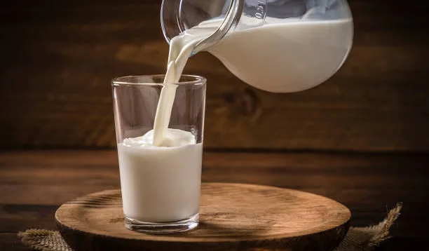 Susu Fermentasi