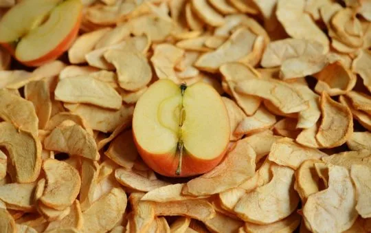 Inovasi Baru dalam Mengonsumsi Buah dengan Pengeringan Buah