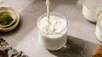 Produk Susu Listrik
