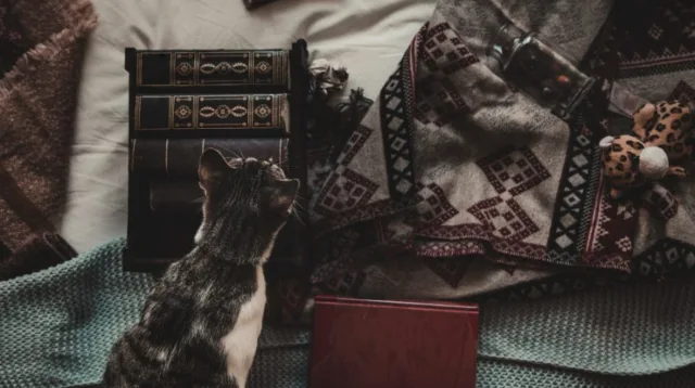 Menghafal Al-Quran Melalui Filsafat