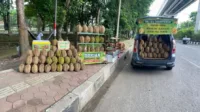 Penjual Juragan Durian Palembang