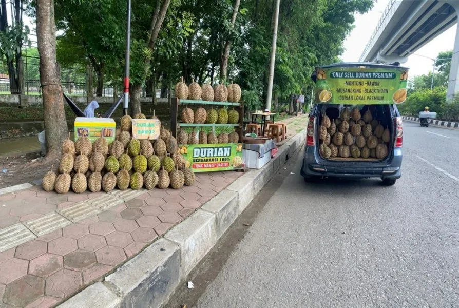 Penjual Juragan Durian Palembang