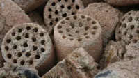 Pemanfaatan Briket Arang sebagai Bahan Bakar Alternatif terhadap Polutan Udara