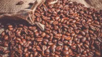 Rancangan Teknologi Tepat Guna untuk Mesin Penggiling Kopi Sistim Poros Vertikal