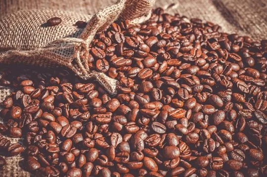 Rancangan Teknologi Tepat Guna untuk Mesin Penggiling Kopi Sistim Poros Vertikal