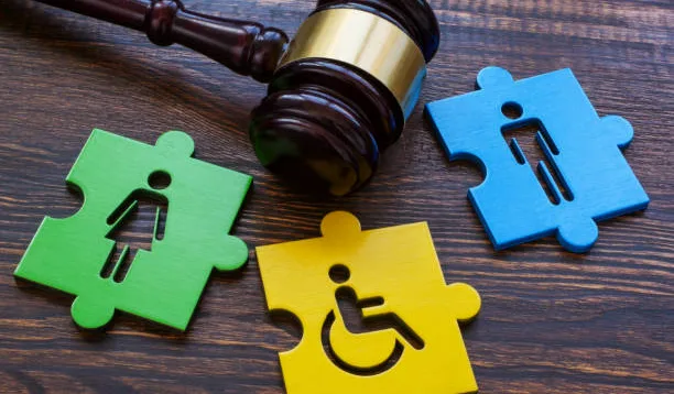 Penyandang Disabilitas