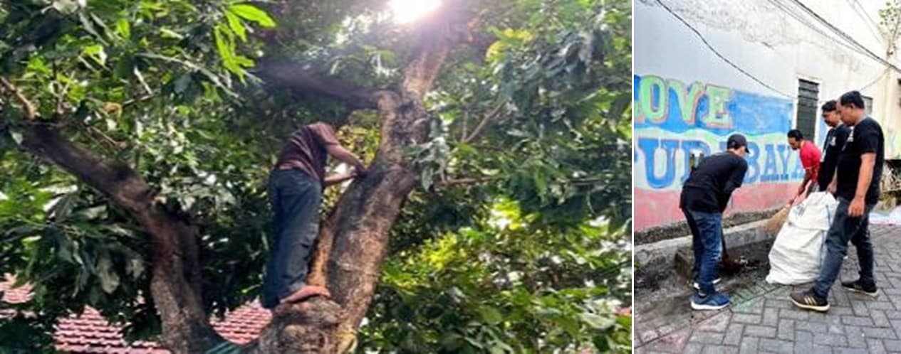Membangun Desa Unggul Melalui Integrasi Digital Intelegence Dalam Kearifan Lokal Dan Ekonomi Hijau Oleh Mahasiswa STIE Pemuda Surabaya